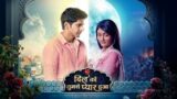 Dil Ko Tumse Pyaar Hua 1st March 2025 Video Episode 228